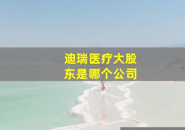 迪瑞医疗大股东是哪个公司