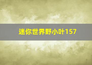 迷你世界野小叶157