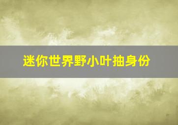 迷你世界野小叶抽身份