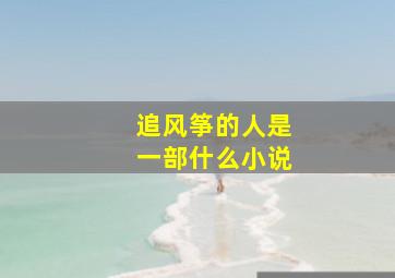 追风筝的人是一部什么小说