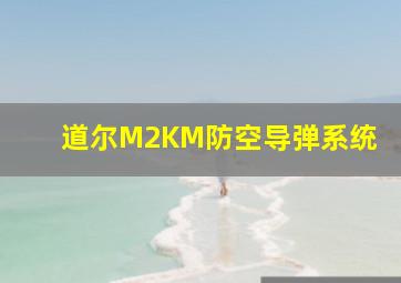 道尔M2KM防空导弹系统