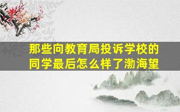 那些向教育局投诉学校的同学最后怎么样了渤海望