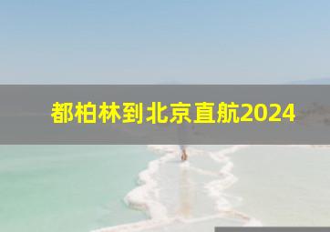 都柏林到北京直航2024