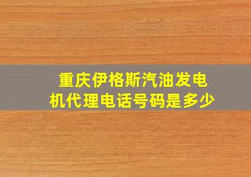 重庆伊格斯汽油发电机代理电话号码是多少