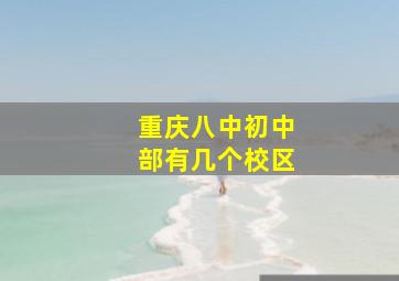 重庆八中初中部有几个校区