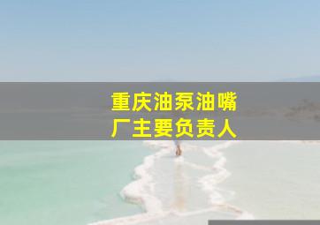 重庆油泵油嘴厂主要负责人