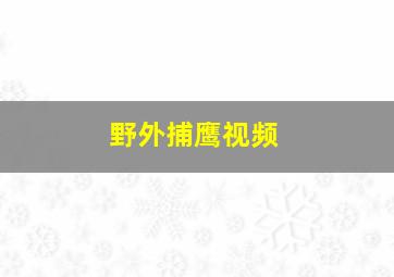 野外捕鹰视频