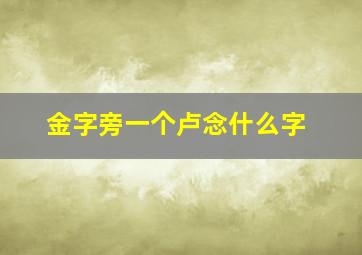 金字旁一个卢念什么字