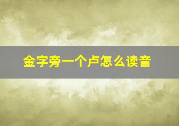 金字旁一个卢怎么读音