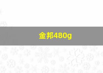 金邦480g