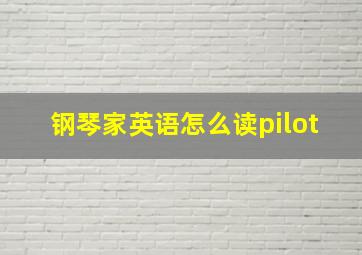 钢琴家英语怎么读pilot