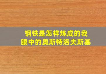 钢铁是怎样炼成的我眼中的奥斯特洛夫斯基