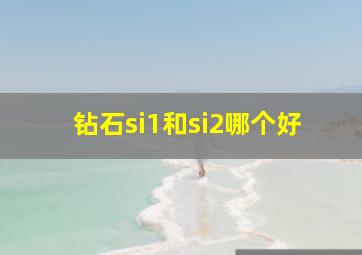 钻石si1和si2哪个好