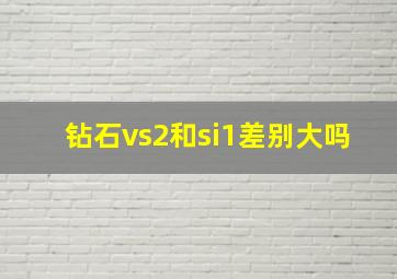 钻石vs2和si1差别大吗