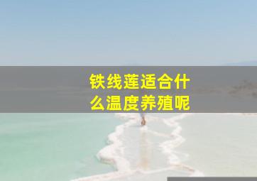 铁线莲适合什么温度养殖呢