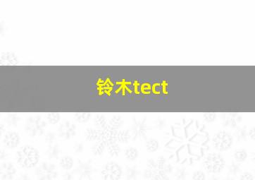 铃木tect