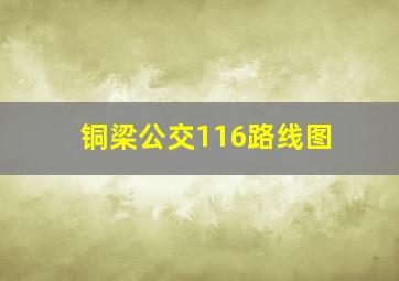 铜梁公交116路线图