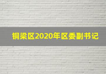 铜梁区2020年区委副书记