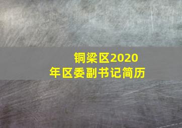 铜梁区2020年区委副书记简历