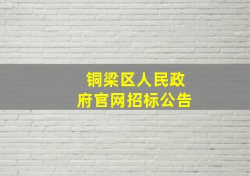 铜梁区人民政府官网招标公告