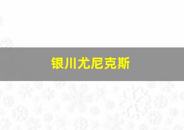 银川尤尼克斯