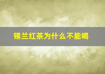 锡兰红茶为什么不能喝