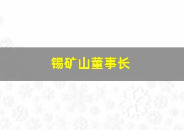 锡矿山董事长