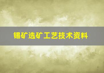 锡矿选矿工艺技术资料