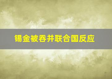 锡金被吞并联合国反应