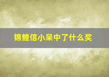 锦鲤信小呆中了什么奖