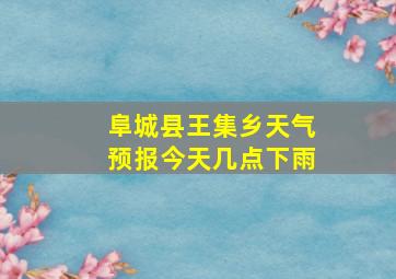 阜城县王集乡天气预报今天几点下雨