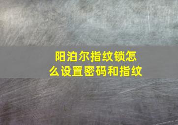 阳泊尔指纹锁怎么设置密码和指纹