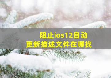 阻止ios12自动更新描述文件在哪找