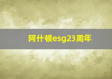 阿什顿esg23周年