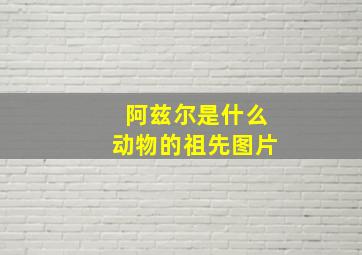 阿兹尔是什么动物的祖先图片