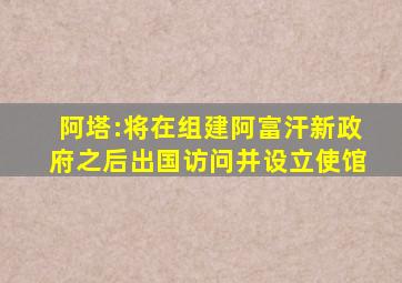 阿塔:将在组建阿富汗新政府之后出国访问并设立使馆