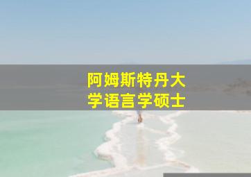 阿姆斯特丹大学语言学硕士