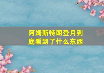 阿姆斯特朗登月到底看到了什么东西