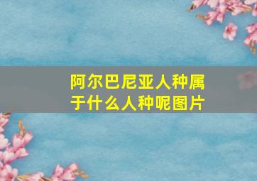 阿尔巴尼亚人种属于什么人种呢图片