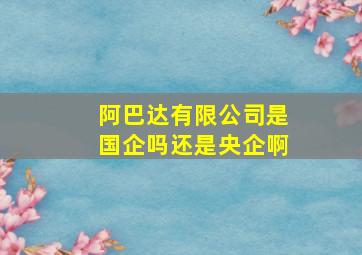 阿巴达有限公司是国企吗还是央企啊