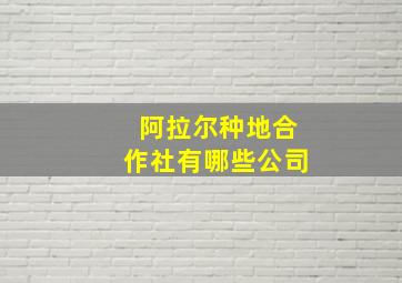 阿拉尔种地合作社有哪些公司