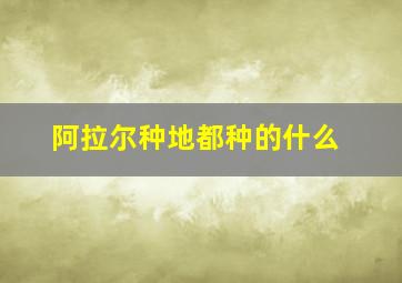 阿拉尔种地都种的什么