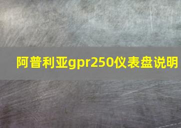 阿普利亚gpr250仪表盘说明