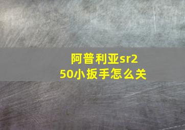 阿普利亚sr250小扳手怎么关