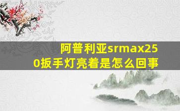 阿普利亚srmax250扳手灯亮着是怎么回事