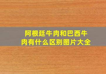 阿根廷牛肉和巴西牛肉有什么区别图片大全