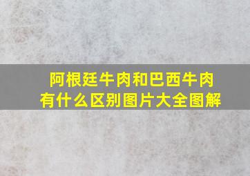 阿根廷牛肉和巴西牛肉有什么区别图片大全图解