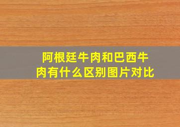 阿根廷牛肉和巴西牛肉有什么区别图片对比