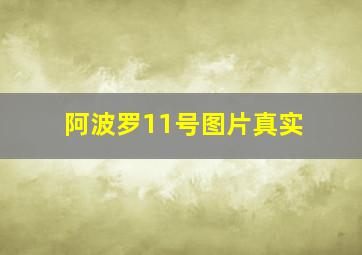 阿波罗11号图片真实