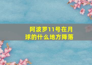 阿波罗11号在月球的什么地方降落